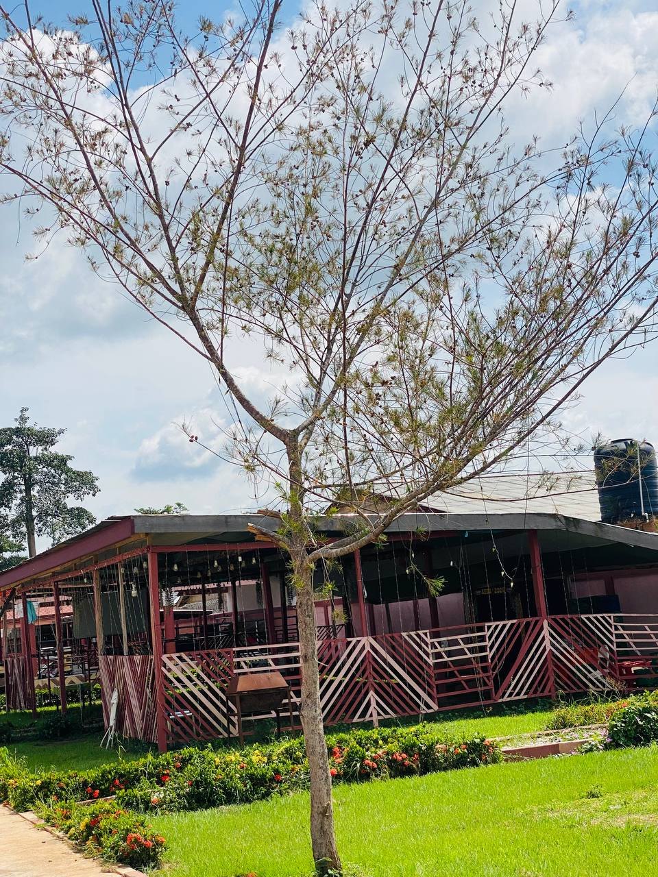 Open-air event pavilion at Hotel 734